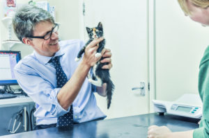 Matthew Wilson giving a kitten a health check