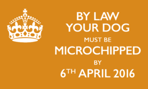 microchip-your-dog-by-law1